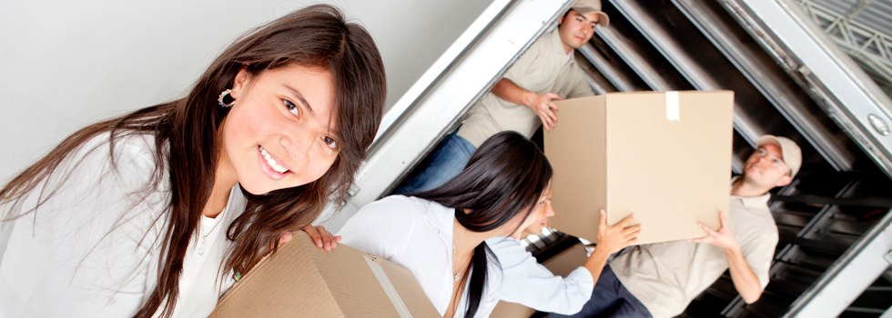 Professional Removalists Wombarra